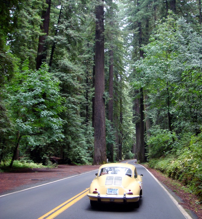 US Redwood Giants